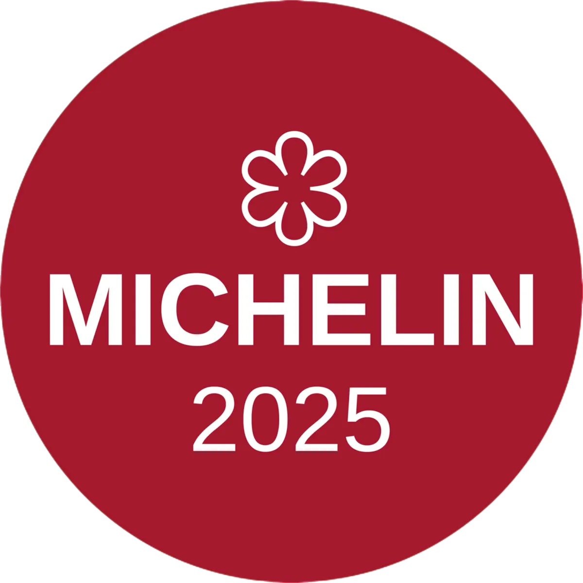 Oyster Oyster gallery